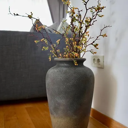 Apartment Begonja