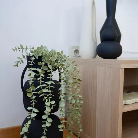 Begonja Apartment *