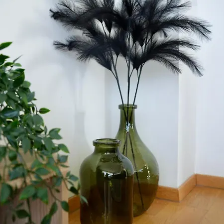 Begonja Appartement