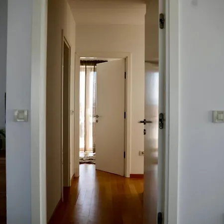Apartment Begonja