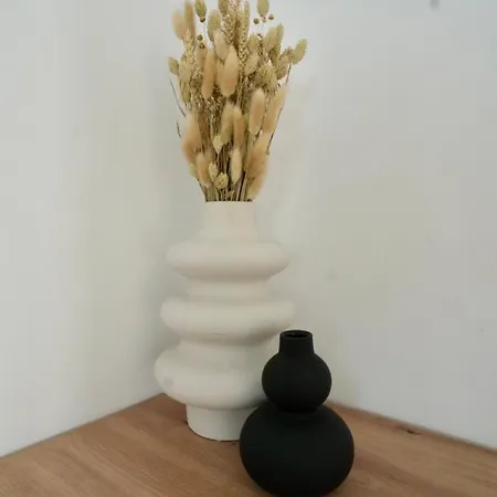 Apartment Begonja Zadar